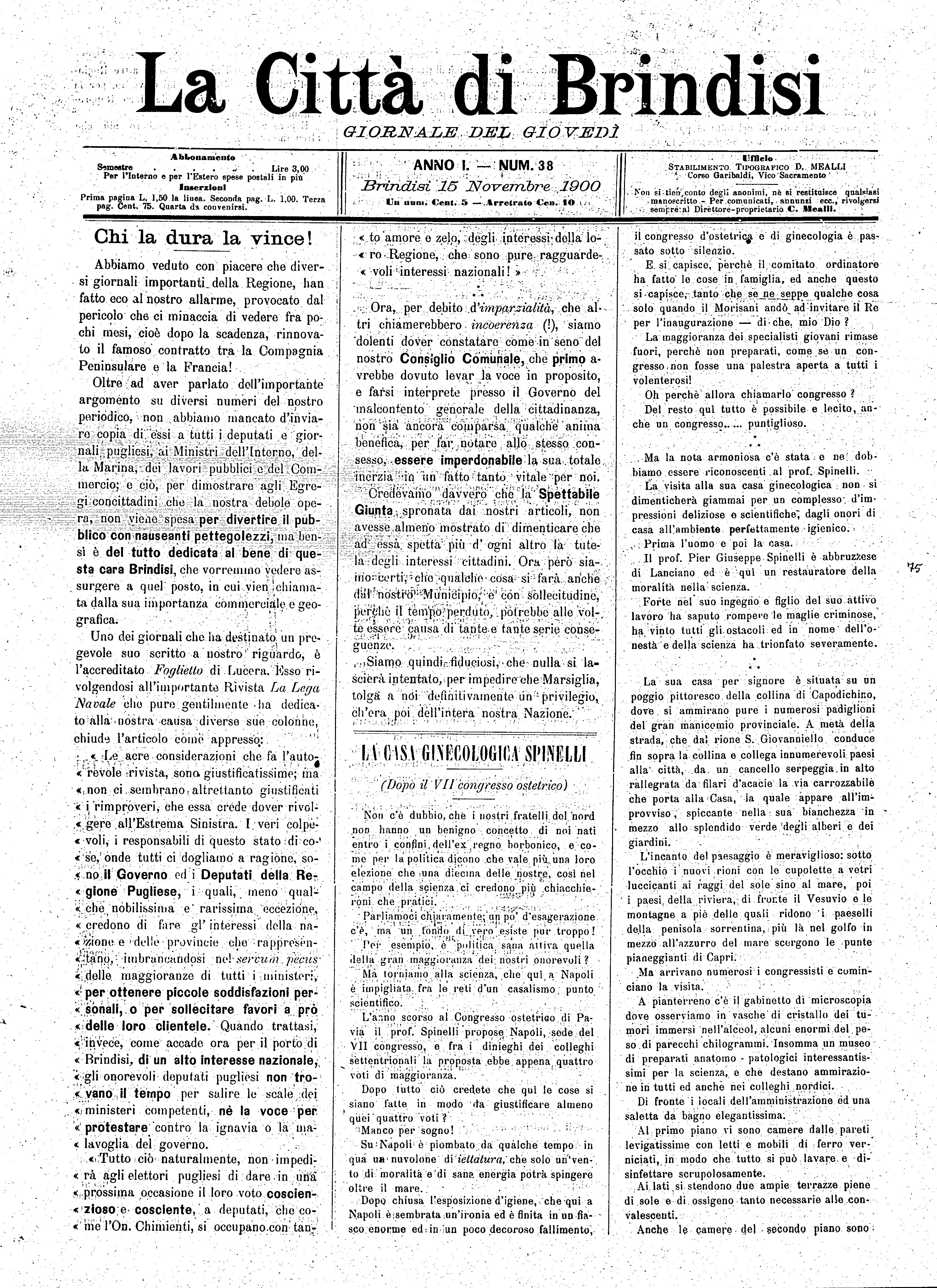 A. 1, n. 38 (15 Nov. 1900)
